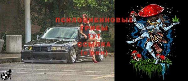 меф Зеленодольск