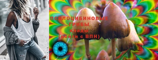 первитин Данков