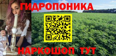 соль ск Будённовск