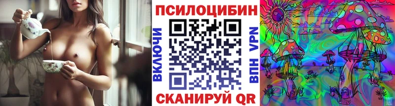 даркнет сайт  Зерноград  Галлюциногенные грибы Psilocybine cubensis 