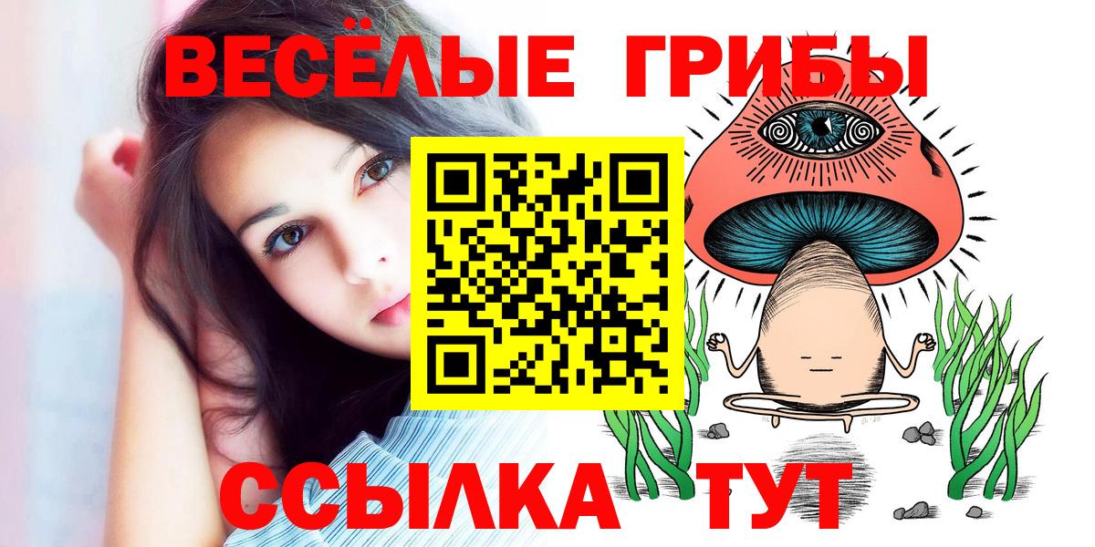 Псилоцибиновые грибы прущие грибы  Вход с VPN  Зерноград 