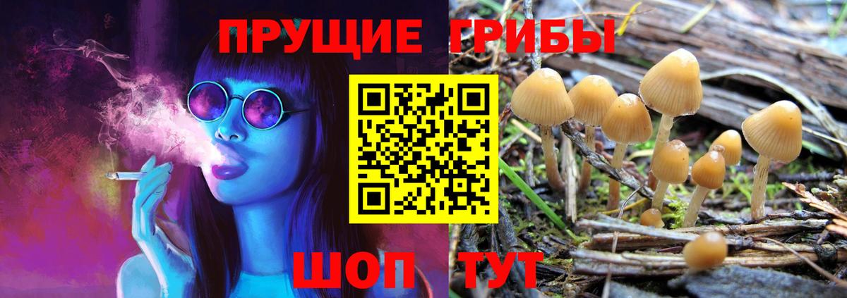 Галлюциногенные грибы MAGIC MUSHROOMS Зерноград